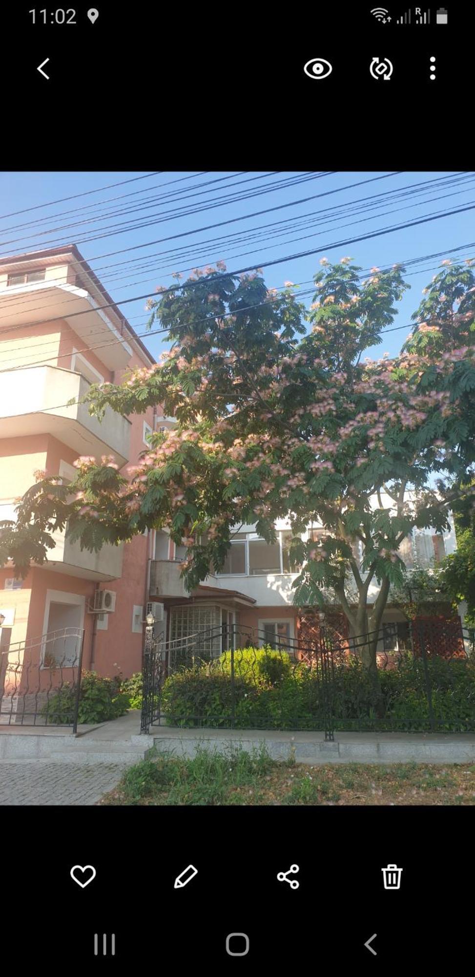 Hotel Laguna Eforie Bagian luar foto