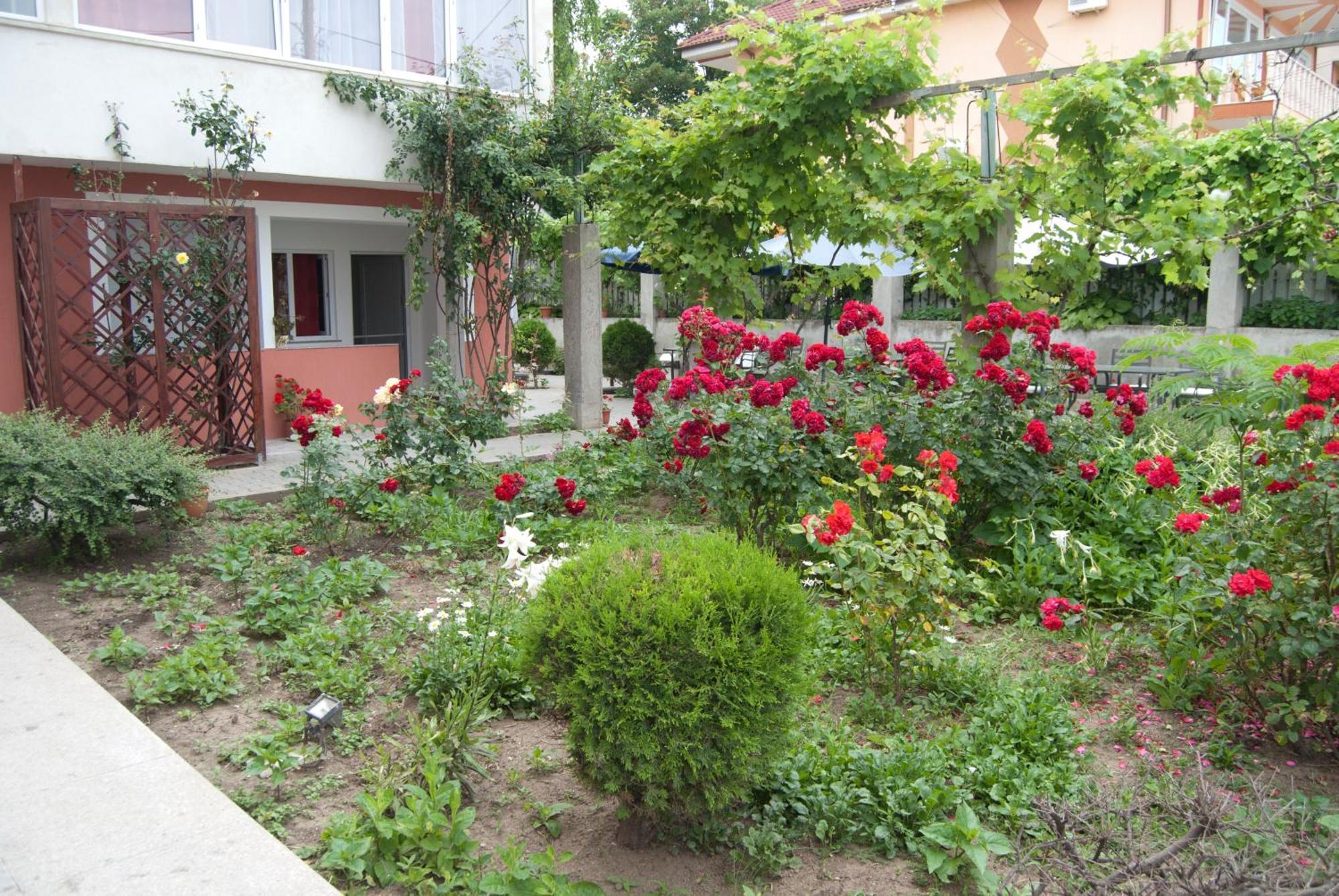 Hotel Laguna Eforie Bagian luar foto